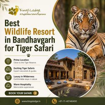 Mumbai, Travel, Best Wildlife Resort In Bandhavgarh For Tiger Safari
