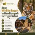 Best Wildlife Resort In Bandhavgarh For Tiger Safari