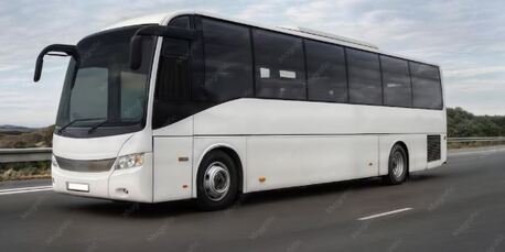New York, Travel, Private Bus Rental Texas For Events, Tours, And Gatherings