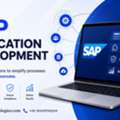 Top-Rated SAP Application Development For Enterprise Business Solutions