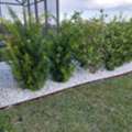 Protect Your Outdoor Investment In Sumter County