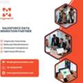 Salesforce Data Migration Partner