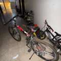 SAR 450,  2 Cycles For Sale