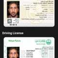 Large Bus Driver