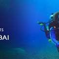Discover The Thrill Of Scuba Diving Dubai