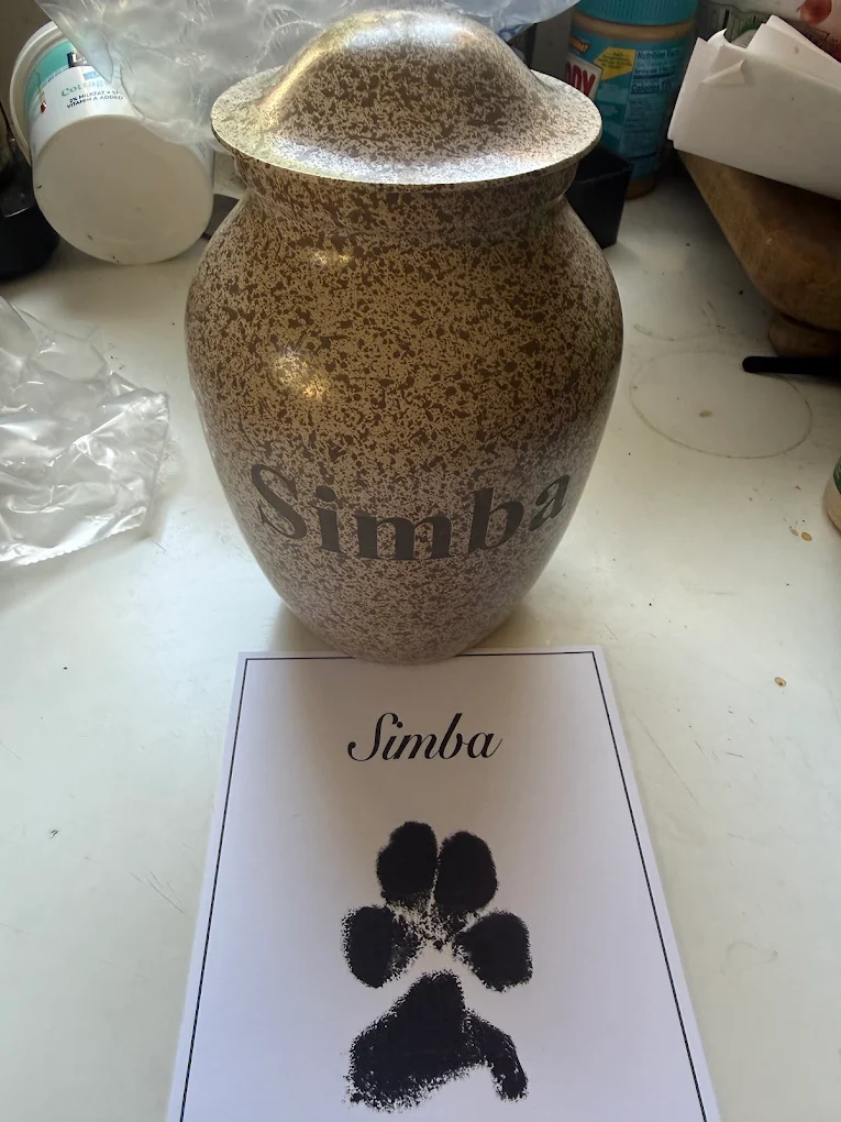 San Francisco, Pet Sitting, Rainbow Bridge Pet Cremation Services | Pet Funeral Service San Francisco, CA