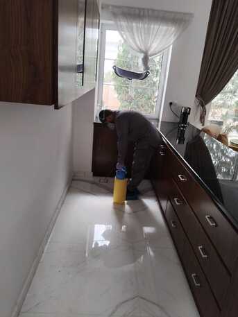 Dubai, Pest Control, Low Cost Restaurant Pest Control Dubai Commercial Pest Control