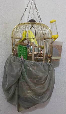 Al Murabba, Pet Supplies, SAR 250,  Bird Cage With Accessories, Pair Of Budgies Included