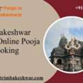 Trimbakeshwar Temple Online Pooja Booking