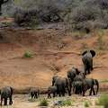 Best Time To Visit Gir Safari &ndash; Plan Your Perfect Wildlife Trip