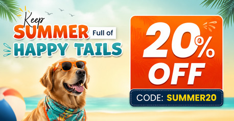 New York, Pet Supplies, USD 35,  Save 20% OFF On NexGard For Dogs At Budgetpetcare