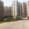 Looking For An Apartment On Rent In Noida? Check Out Supertech Capetown Apartments From Ju