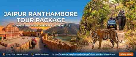 Jaipur, Travel, Unveil The Magic Of Rajasthan: Jaipur & Ranthambore Adventure