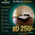 BHD 250/month,  Furnished,  1 BR,  Apartment For Rent In Burhama