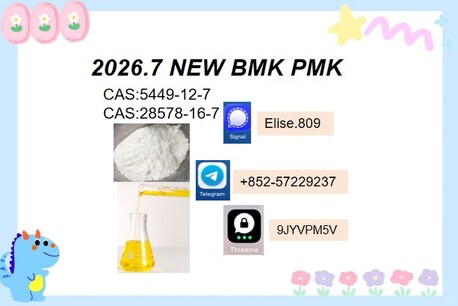 Tirana, Childcare Job Seekers, BMK 5449-12-7 PMK 28578-16-7 Stable Production, Strict Quality Control