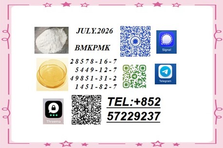 Tirana, Childcare Job Seekers, BMK 5449-12-7 PMK 28578-16-7 Stable Production, Strict Quality Control