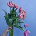 Same Day Flower Delivery | Fresh Flowers Delivered Today