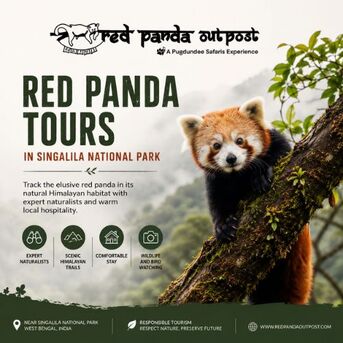 Gurgaon, Travel, Red Panda Tours In Singalila National Park