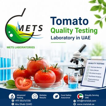 Abu Dhabi, Business, Tomato Shelf Life Analysis UAE For Longer Freshness And Better Product Quality
