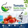 Tomato Shelf Life Analysis UAE For Longer Freshness And Better Product Quality