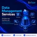 Strengthen Data Operations With EnFuse Solutions&rsquo; Data Management Services