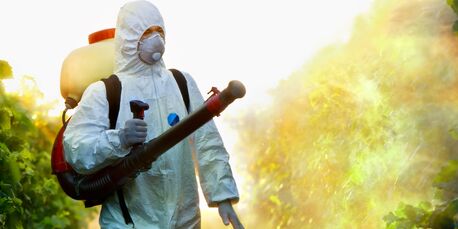 Singapore, Pest Control, Trusted Pest Control SG