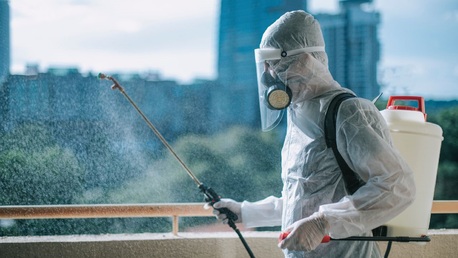 Singapore, Pest Control, Home Cockroach Control Singapore