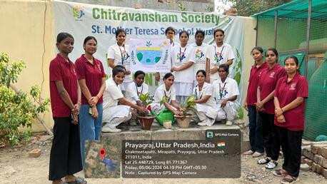 Lucknow, Lessons Offered, Best College For Nursing In Bhadohi &ndash; St. Mother Teresa School Of Nursing