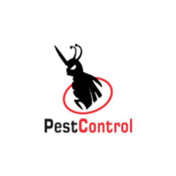 Mumbai, Health, Termite Treatment Near Me