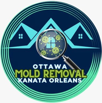 Ottawa, Business, Ottawa Mold Removal-Orleans-Kanata