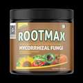 GBP 14,  Poor Crop Growth After Sowing? Apply Rootmax Root Booster For Plants &ndash; Buy Today