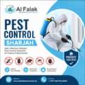 Need Professional Pest Control In Sharjah? Here's Why Al Falak Can Help