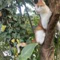Beautiful Nature To Be