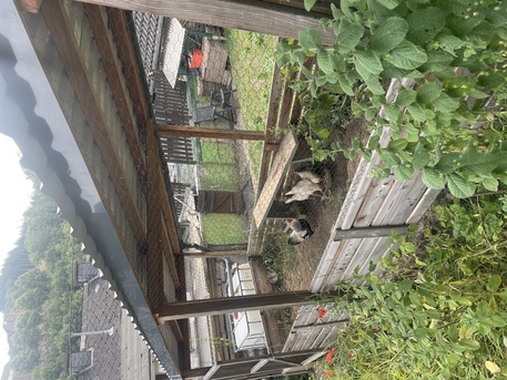 Dusseldorf, Help, Beautiful Nature To Be