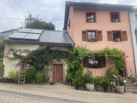 Dusseldorf, Help, Beautiful Nature To Be