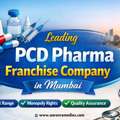 Can PCD Pharma Franchise In Mumbai Help You Reach A Larger Customer Base?