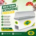 Western Scooping Freezer Dealer In Kerala | Best Price