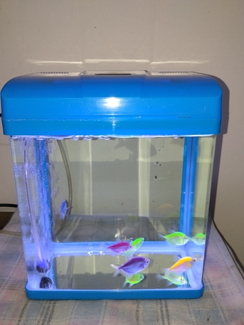 Jubail, Household Items, SAR 250,  Urgent Sale Household Item Invertor Split ACBed Tabel Aquarium Baby Scooter