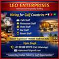 Hotel & Restaurant Staff Consultancy Services From India