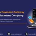 Reliable & Cost-Efficient Crypto Payment Gateway Development Company