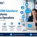 How A Consultant CRM Salesforce Expert Transforms Your Business Operations