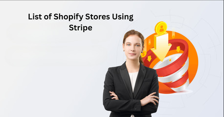 New York, Businesses For Sale, Shopify Stores Using Stripe List For B2B Lead Targeting