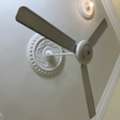 SAR 100,  Fan