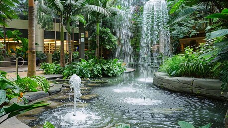 Boston, Business, Water Feature Installation In Boston