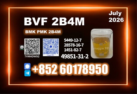 Copenhagen, Perfumes & Fragrances, Usd 140,  BVF CAS 49851-31-2,1451-82-7 Safe Shipment