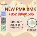 USD 99,  BMK CAS 5449-12-7 Supplied Together With PMK CAS 28578-16-7/1451-82-7 And 49851-31-2