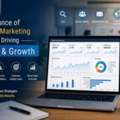 Importance Of Digital Marketing For Ecommerce Growth | DDMS