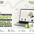 For Ecommerce Revenue Growth Continous Shopify Maintenance Is Essential