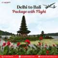 Delhi To Bali Package With Flight
