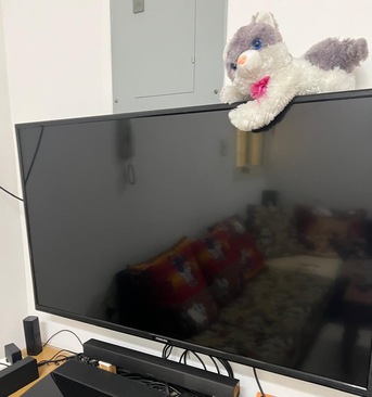 Khobar, Appliances, SAR 450,  TV For Shell
